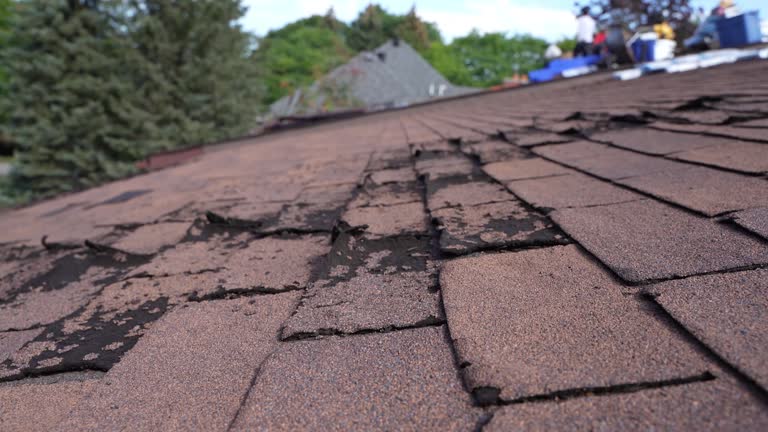 Best Solar Panel Roofing Installation  in Linln Park, CO