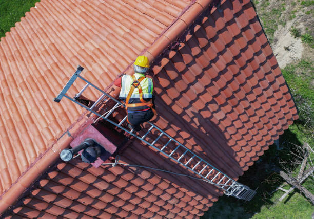 Best Roof Maintenance and Cleaning  in Linln Park, CO